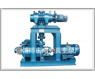 JZJ2S系列罗茨-水环真空机组