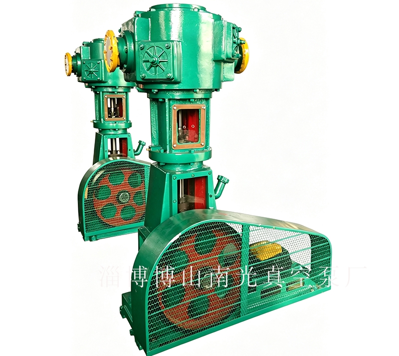 WLW-100B立式往复泵.jpg